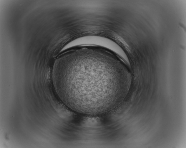 X0000091480073200708231409