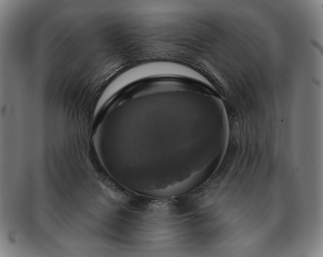 X0000091480076200708231409