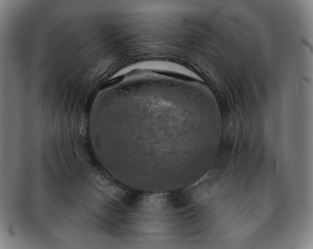 X0000091480078200708231409