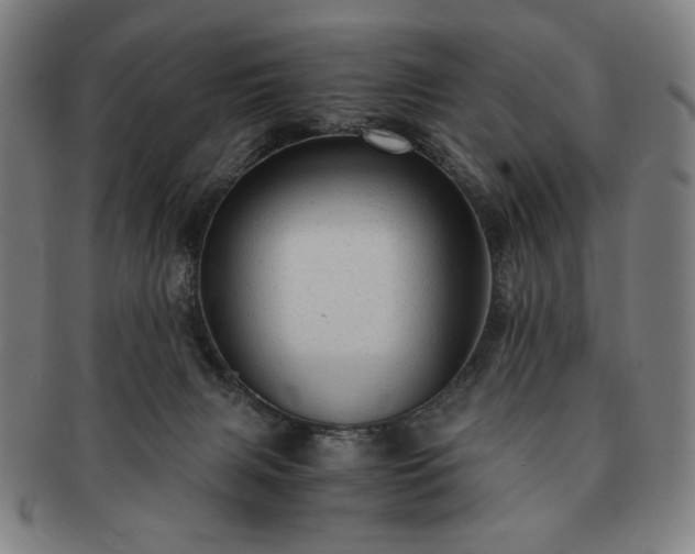 X0000091480079200708231409