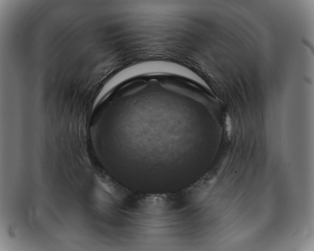 X0000091480080200708231409