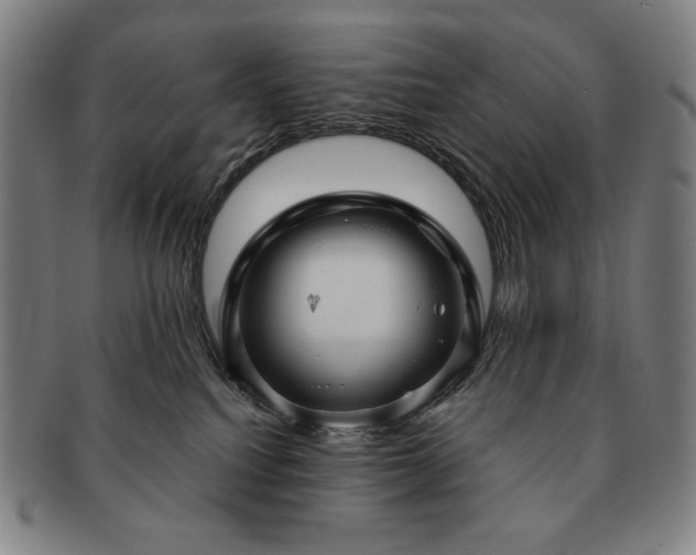 X0000091480088200708231409