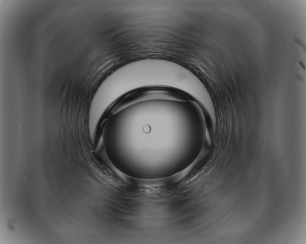 X0000091480092200708231409