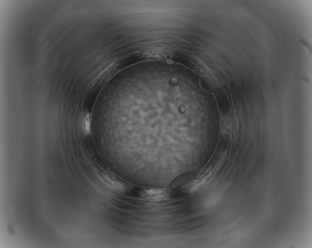 X0000091480095200708231409