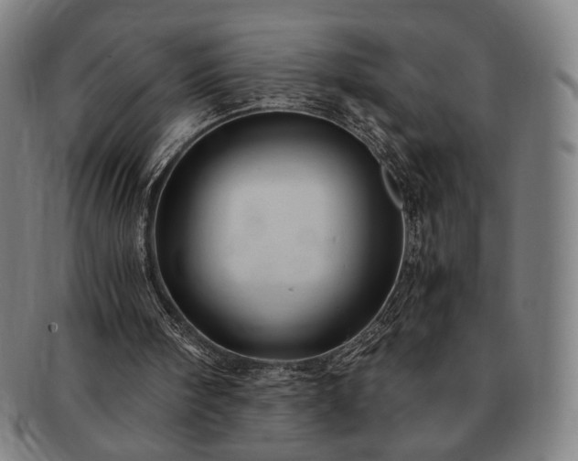 X0000091480098200708231409