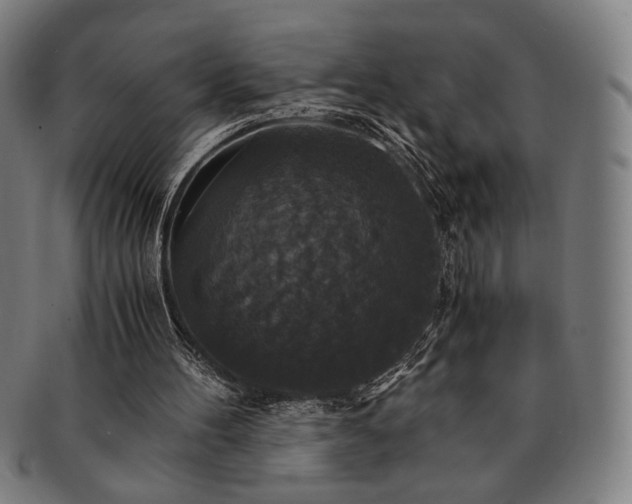 X0000091480100200708231409