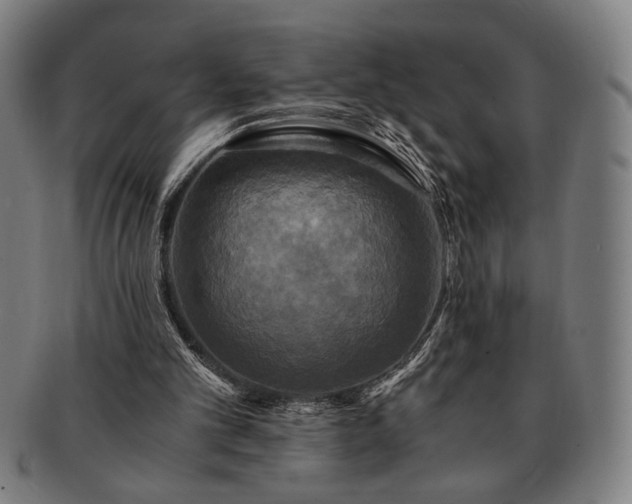 X0000091480101200708231409