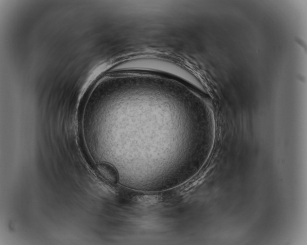 X0000091480102200708231409