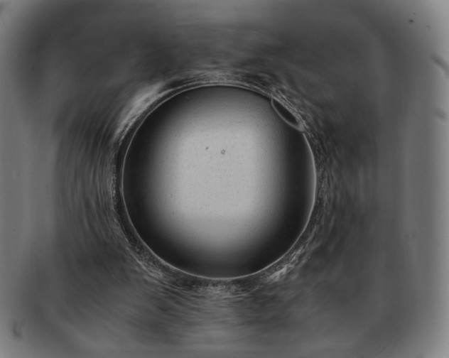 X0000091480103200708231409