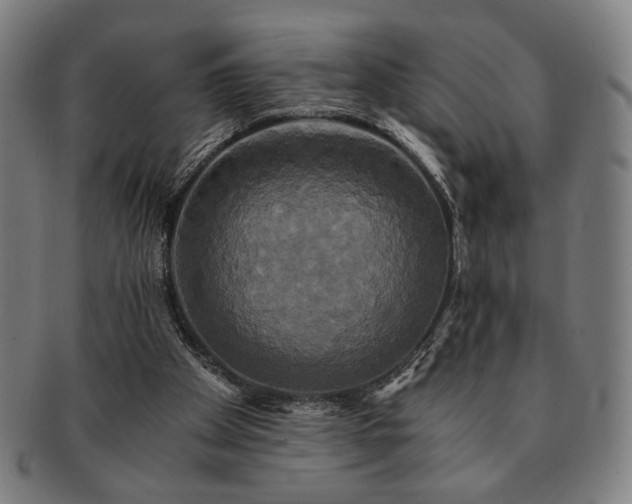 X0000091480105200708231409