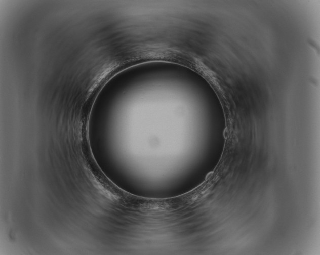 X0000091480106200708231409