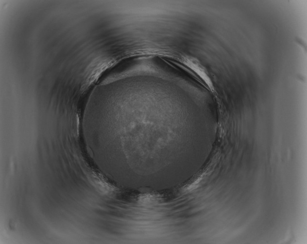 X0000091480109200708231408