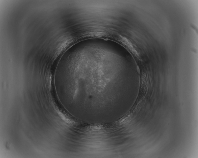 X0000091480110200708231408