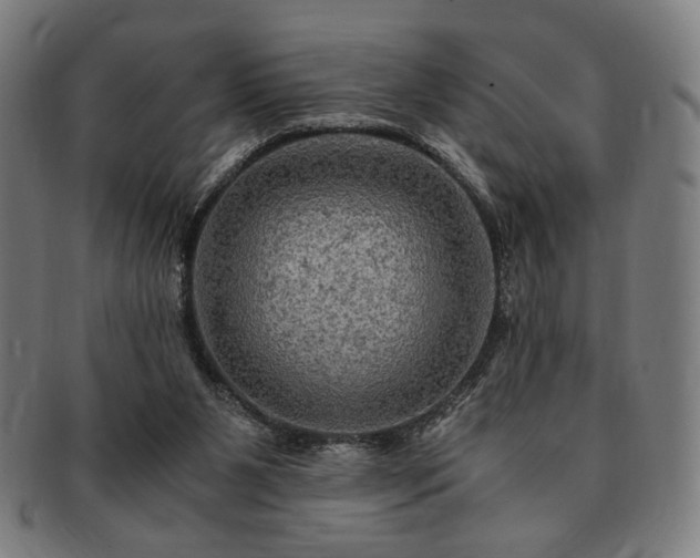 X0000091480111200708231408