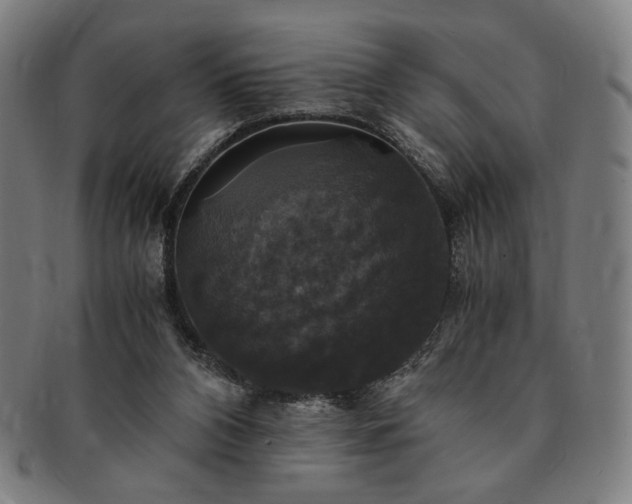 X0000091480112200708231408