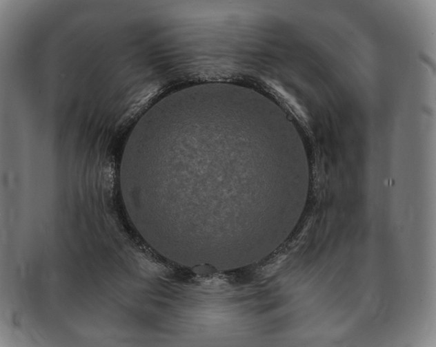 X0000091480113200708231408