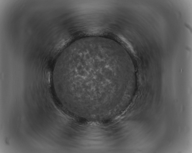 X0000091480115200708231408