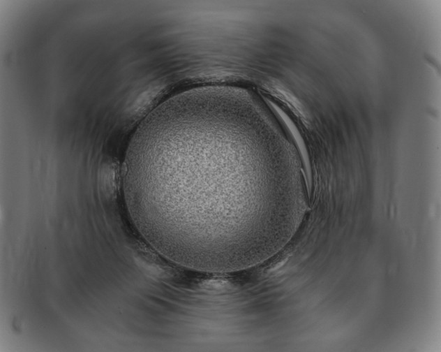 X0000091480119200708231408