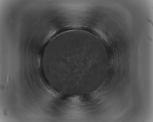 X0000091480120200708231408