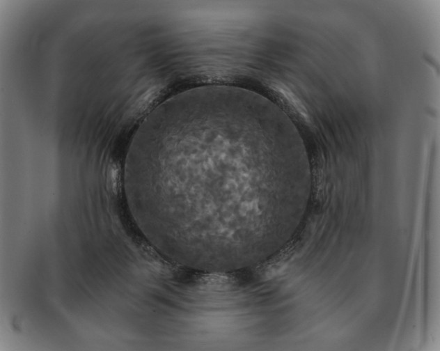 X0000091480123200708231408