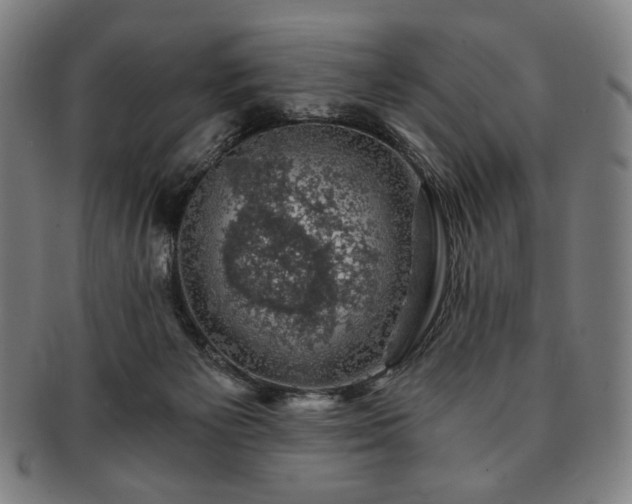 X0000091480125200708231408