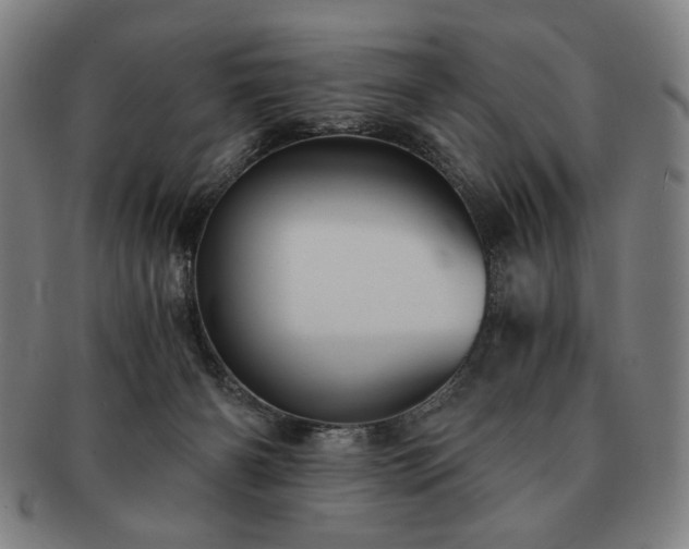 X0000091480126200708231408