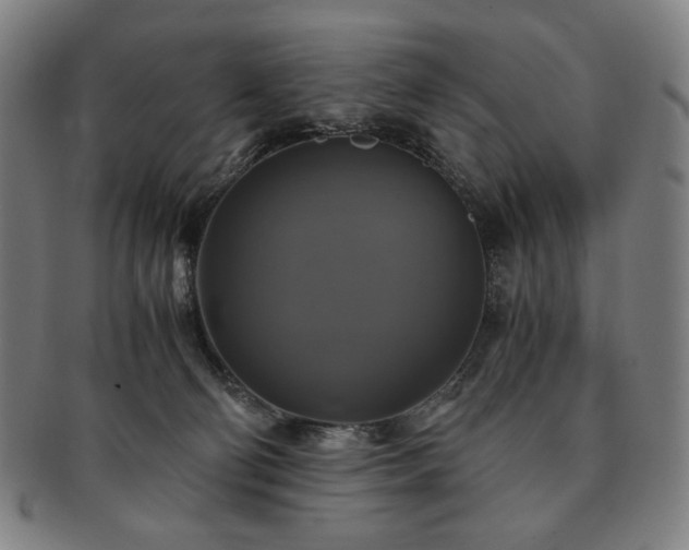 X0000091480130200708231408