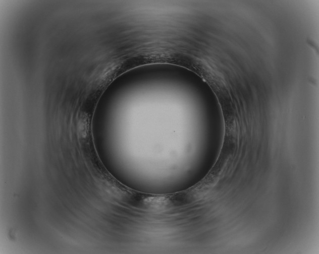 X0000091480133200708231408