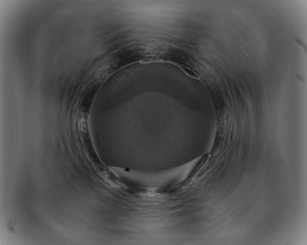 X0000091480137200708231408