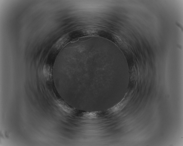 X0000091480140200708231408