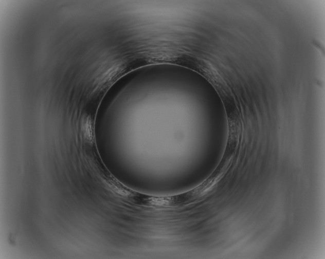 X0000091480143200708231408