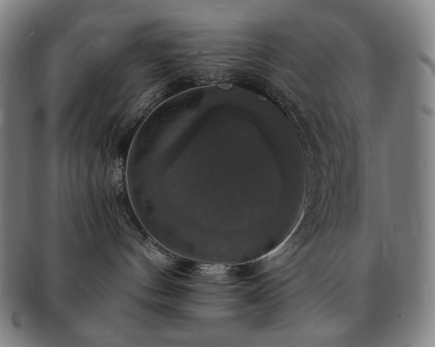 X0000091480144200708231408