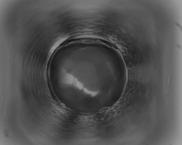 X0000091480147200708231407