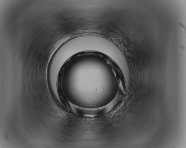 X0000091480148200708231407