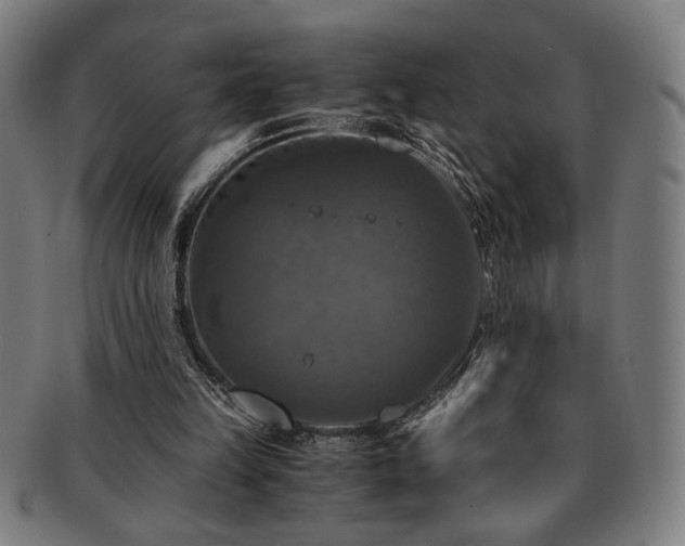 X0000091480149200708231407