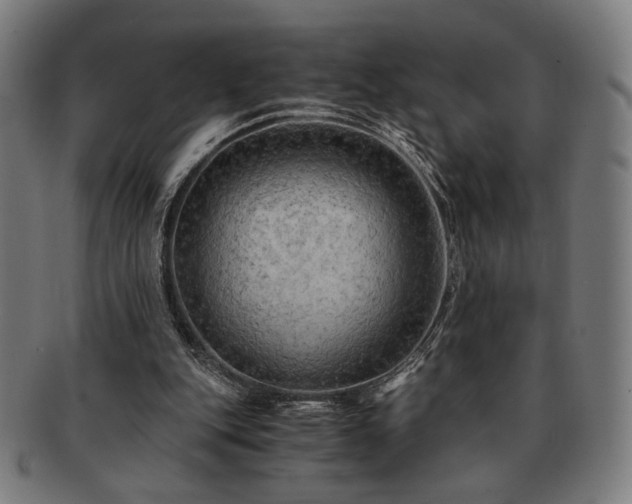 X0000091480151200708231407