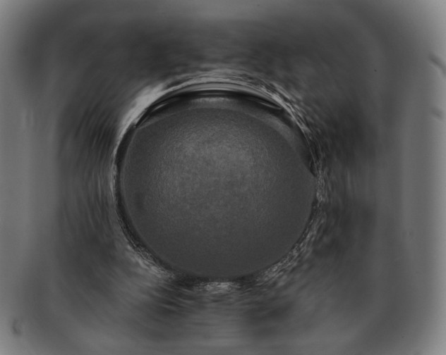 X0000091480152200708231407