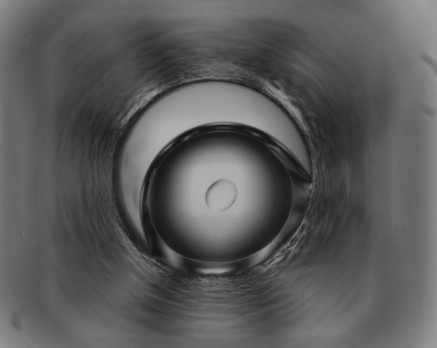 X0000091480154200708231407