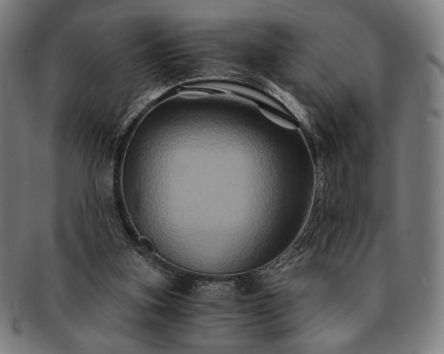 X0000091480155200708231407