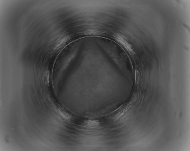 X0000091480157200708231408