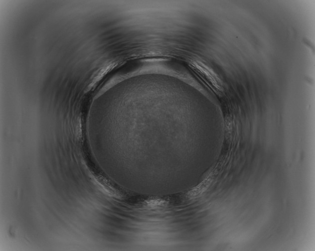 X0000091480158200708231408