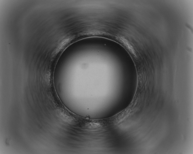 X0000091480159200708231408