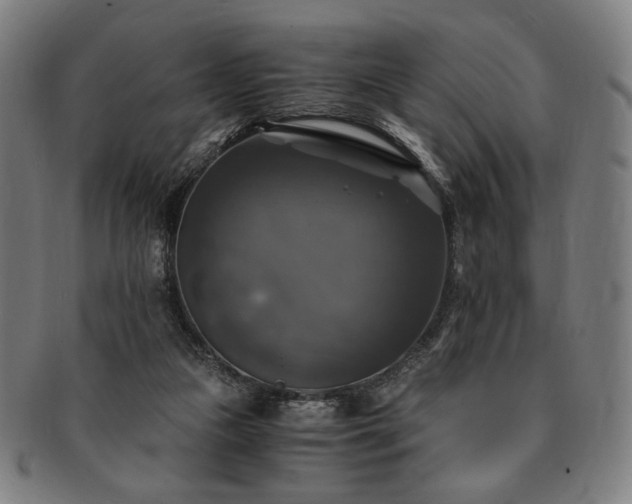 X0000091480161200708231408