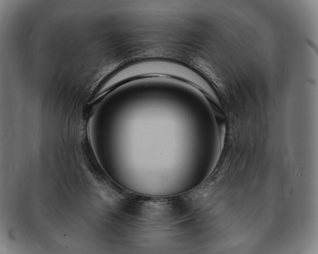 X0000091480164200708231408