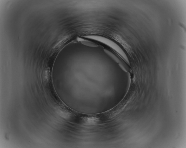 X0000091480165200708231408