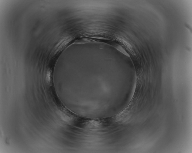 X0000091480166200708231408