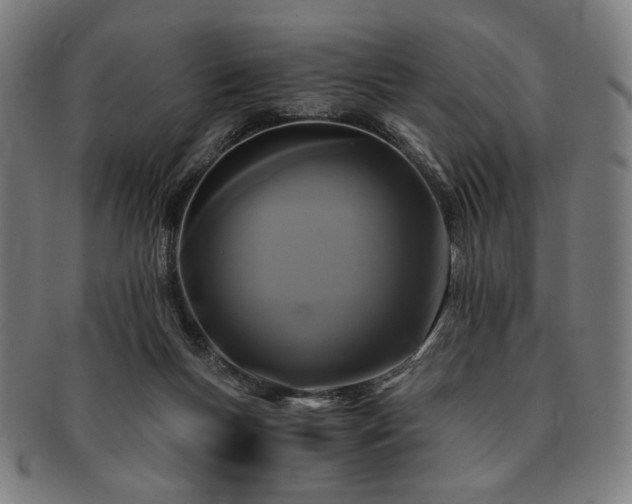 X0000091480167200708231408