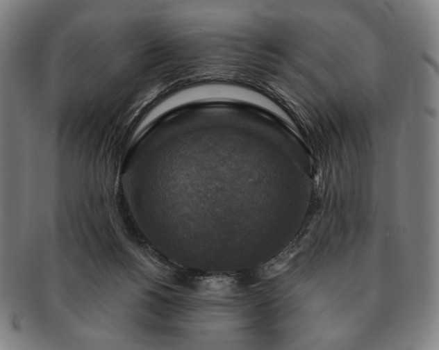 X0000091480168200708231408