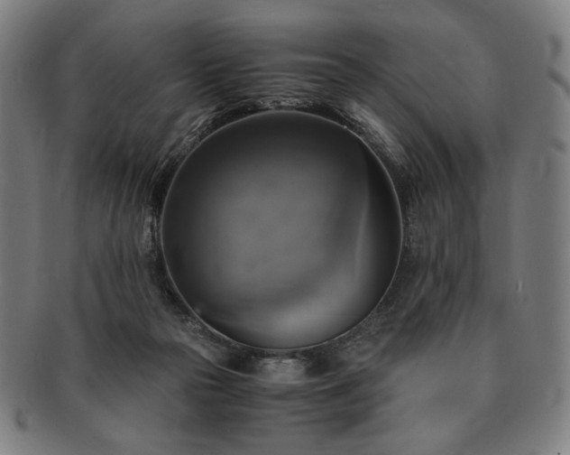 X0000091480169200708231408