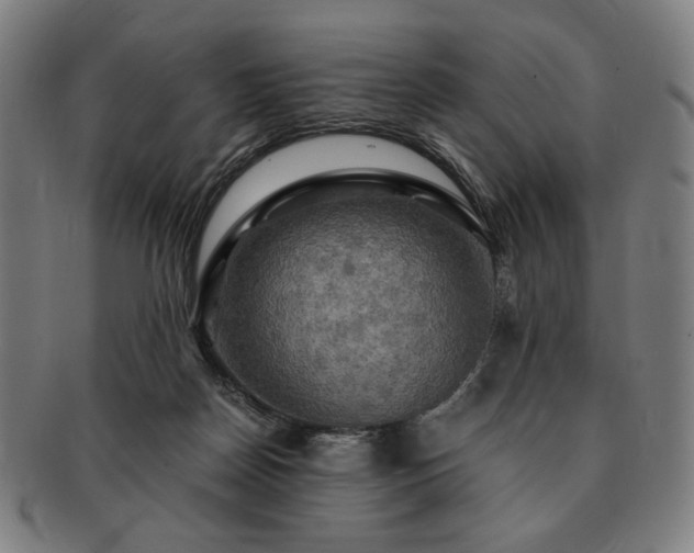 X0000091480170200708231408